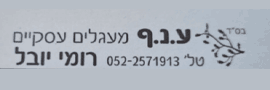 ANAF FINANCIAL SERVICES