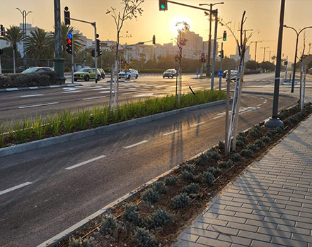 מ.נ. אבו שריף  בע"מ