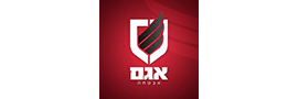 אגם אבטחה בע"מ