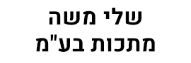 לוגו SHELLY MOSHE METALS LTD.