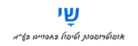 שי אפוטרופסות וטיפול בחסויים בע"מ