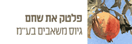 פלטק את שחם גיוס משאבים בע"מ