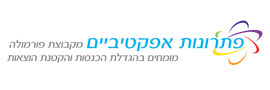 פתרונות אפקטיביים בע"מ