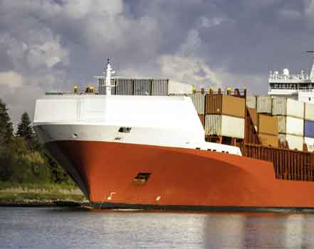 SONIGO INTERNATIONAL SHIPPING, PACKING & MOVING LTD