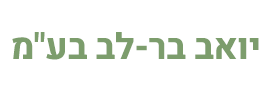 YOAV BARLEV LTD