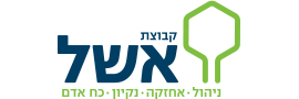 קבוצת אשל