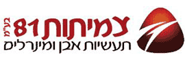 צמיתות 81  בע"מ