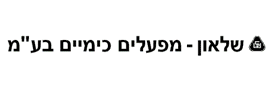 שלאון מפעלים כימיים בעמ