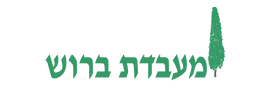 מעבדת ברוש בע"מ