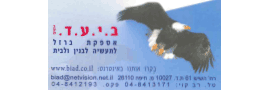 ב. י. ע. ד. שווק ברזל בע"מ