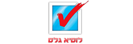 לוסיא גלס בע"מ