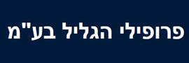 HAGALIL PROFILES LTD.
