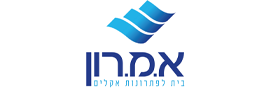 א.מ.רון הנדסת מערכות מיזוג וקירור בע"מ