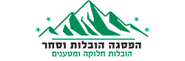 הפסגה הובלות וסחר